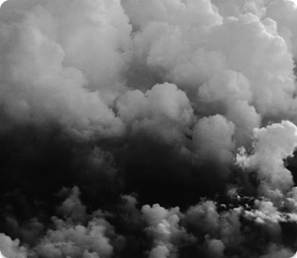 Higher Email Engagement